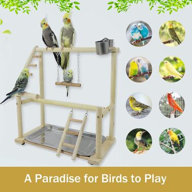 Bird Playground, budgie toys, bird playground stand, bird gym, bird accessories, climbing frame with ladder, running grid with feeder cups, tray, swing for parakeets, wavy parrots, finches, etc. (#7)