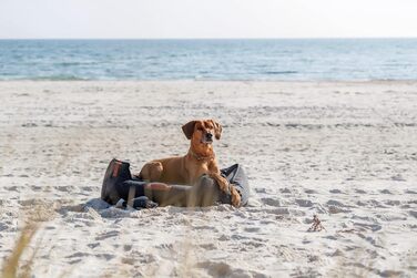 Нашийник для собак TRIXIE Zug-Stopp з обмеженням тяги, шкіряний, сірий, L-XL