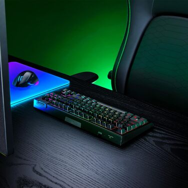 Механічна ігрова клавіатура Razer BlackWidow V4 TKL з зеленими перемикачами (RGB Chroma, 6 макро-клавіш, Doubleshot ABS-кейкапи, QWERTY US-розкладка)