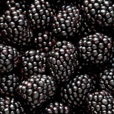 Жіночі парфуми Yodeyma Mia, 100 мл