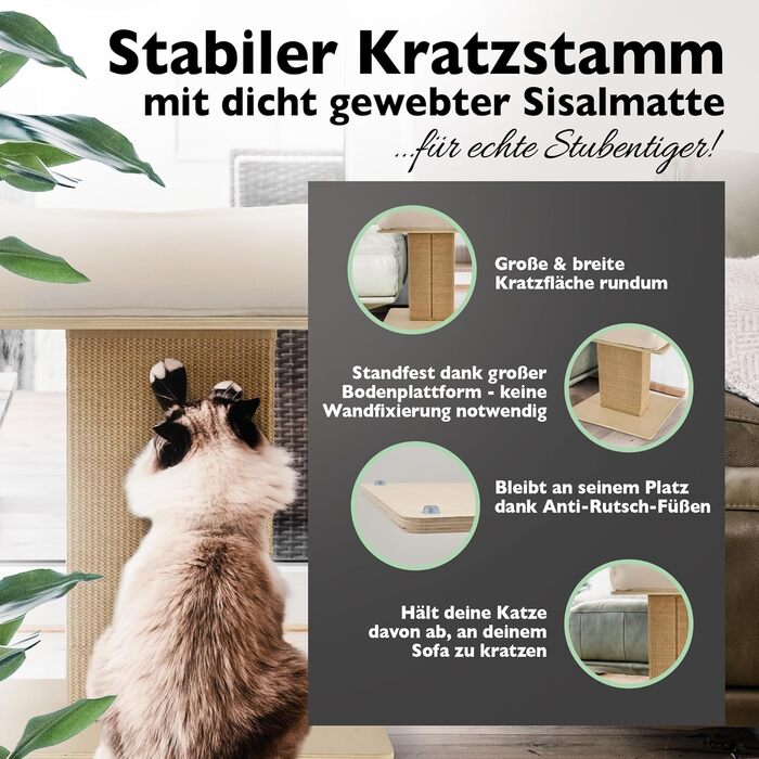 Nemmy Premium Cat Tree Small Beige | Stable Scratching Post Extra Wide | Cat Bed with Cushion | Cat Tree for Large Cats | Modern Wood Natural | Scratching Column | Scratching Post
