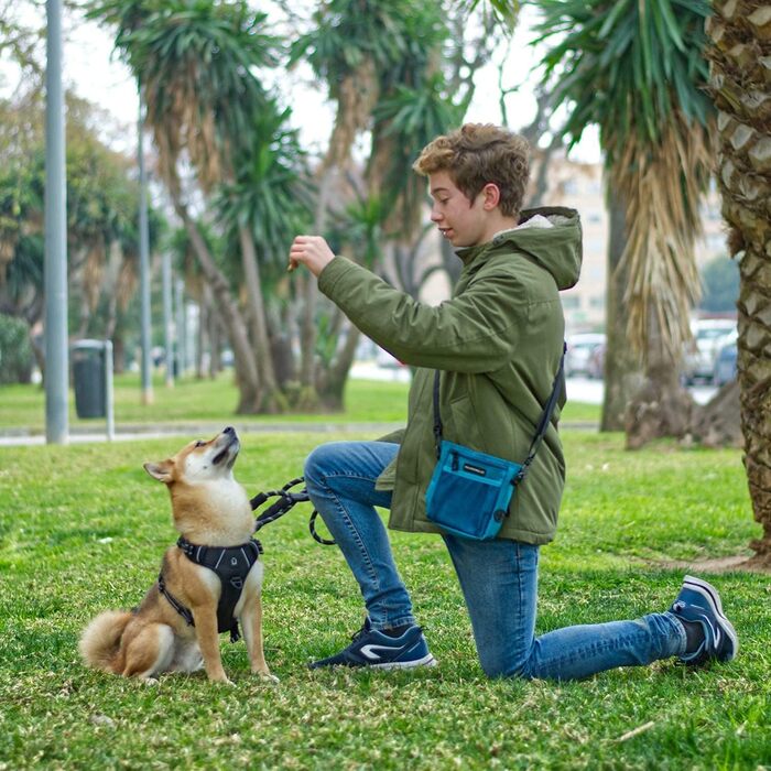Сумка для корму для собак Waldseemüller, тренувальна сумка для домашніх тварин, підходить для собак маленьких та великих порід, з диспенсером для пакетів для екскрементів, карабіном, регульованим поясним ременем та плечовим ременем