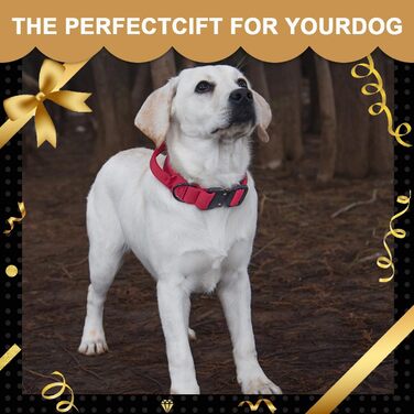 Тактичне нашийник для собак з ручкою, великий, зелений. Міцний, регульований, з металевою застібкою. Нашийник з нейлону з неопреновою підкладкою. XL, червоний