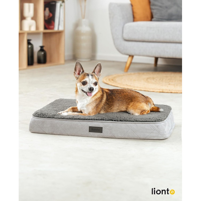 Ортопедичне ліжко для собак Lionto, 60x40x8 см, з м'яким плюшем, знімний та пральний чохол, водовідштовхувальне, для собак та котів, сірого кольору
