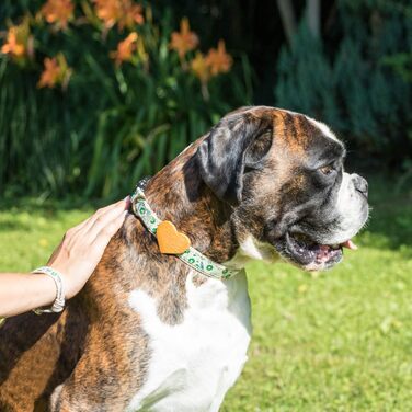 Нашийник для собак Pettsie з серцем та браслетом дружби, регульовані розміри S та M, комфортний дизайнерський льон, міцний та довговічний, чудовий подарунок для любителів собак (35,6 - 50,8 см (M), Зелений)