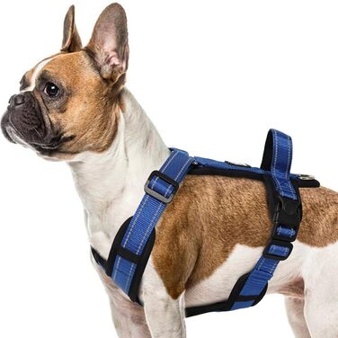 Нашийник для собак Mittel, світловідбиваючий, анти-тяга, з м'якою підкладкою та ручкою, для цуценят та собак середніх розмірів (S, блакитний)