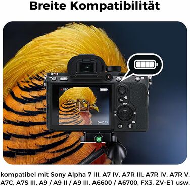 Акумулятор BTECH NP-FZ100 2600mAh (2 шт.) + Зарядний пристрій USB-C PD 18W для Sony A7 III/IV/R III/IV/V/C/S III/A9/A6600/A6700/FX3/FX30 (чорний)