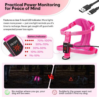 LED-нашийник для собак, світлодіодна шлейка для маленьких собак, USB-C, перезарядна, світлодіодна, для цуценят, XS, S, світловідбиваюча, для нічних прогулянок (зелений, рожевий)