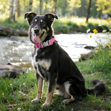 Тактичне обіднє ошейник для собак Ledeak з ручкою, регульований, широке обіднє ошейник з м'якою підкладкою, надійний карабін, для дресирування собак (фіолетовий, рожевий, XL)