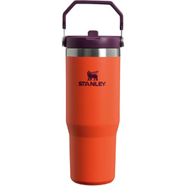 Stanley Flip Straw Tumbler 1.0 Drinking Bottle with Straw 0.89L - Thermos Bottle Keeps 12+ Hours Cold - Dishwasher Safe - Sports Bottle - Water Bottle BPA Free - (Tigerlily Plum)