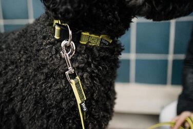 Нашийник для собак JULIUS K-9 200HA-K-2015 серії Color & Gray, чорно-сірий, регульований, 50 мм, 49-70 см (без ручки)