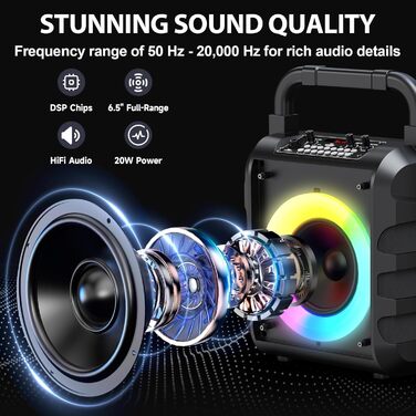 Караоке машина HWWR з 2 бездротовими мікрофонами, Bluetooth колонкою, PA-системою для дому та вечірок. Підтримка TF/USB, AUX, чорний колір