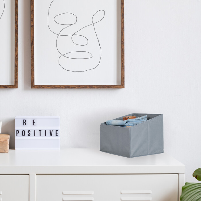 Комплект флісу Relaxdays Storage Box з 2 штук