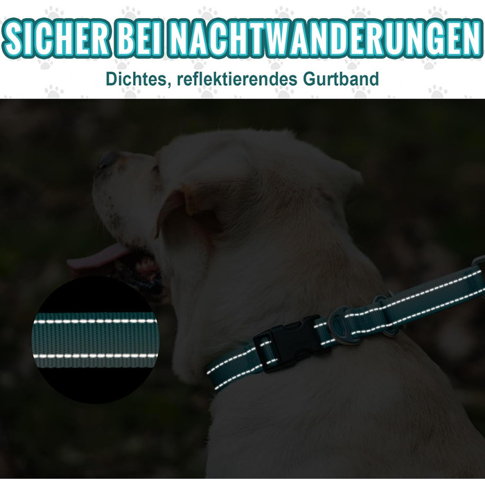 Відбиваюче повідець для собак Martin Gay, з зупинкою, для великих, середніх та малих собак, повідок-стопер для Whippets, Greyhounds, Saluki (Турквезевий, M)