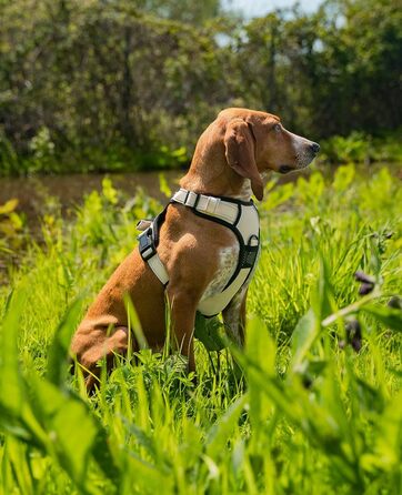 Нашийник для собак Lionto, м'який нейлон, розмір S, анти-тяга, 2 кільця, 4 регульовані ремінці, 2 застібки, гумовий хват, бежевий