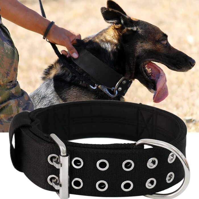 Dog Collar for Large Dogs - 5 cm Wide Collar with Handle for Extra Large Dog Breeds, Black, Soft Padded Neoprene Nylon Dog Collar for Large Dogs Big Dog Collar 56-66cm