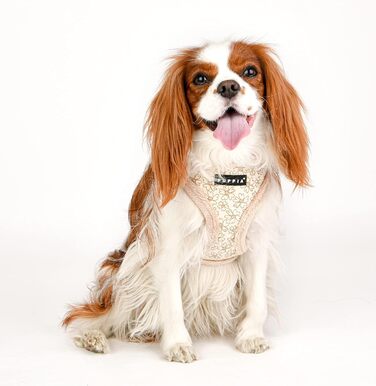 Шлейка для собак Puppia Hepatica A - світло-бежева, регульована, комфортна (L)