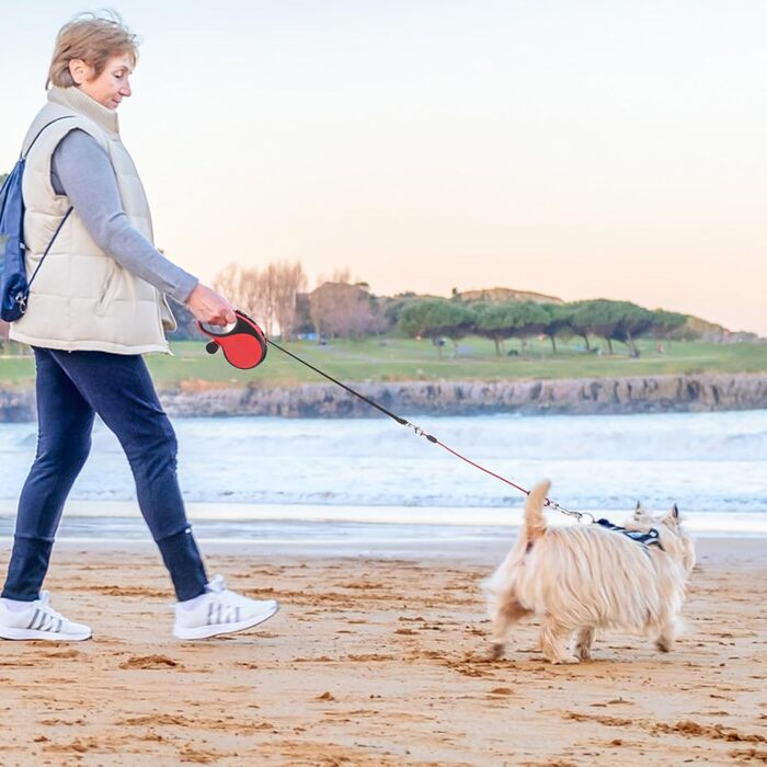 Рулетка для собак SCENEREAL - 7.9 м, для собак до 50 кг, міцна, з відмоткою, з анти-жувальною ниткою та дозатором для відходів (Червоний)