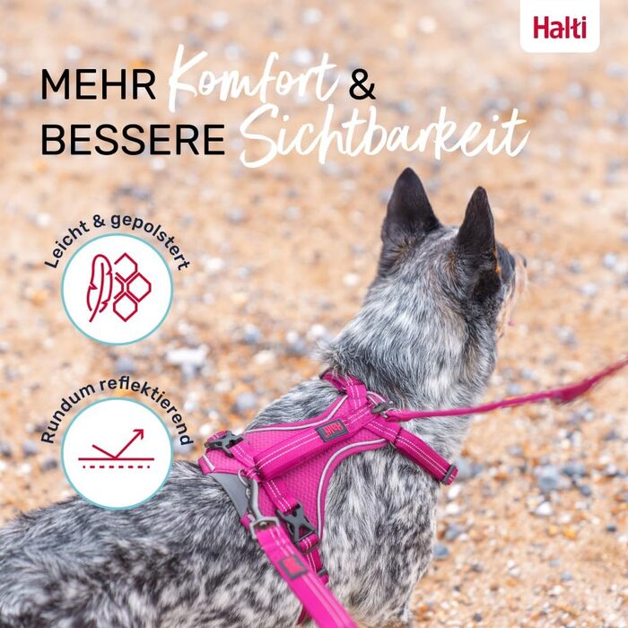 HATI Anatomy Dog Harness with Handle – Freedom of Movement for Your Dog. 3 Connection Points, Neoprene Padding, Adjustable and Reflective (Size Construction Green) (Magenta, M)