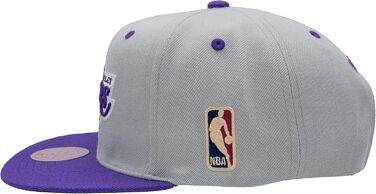 Кепка Mitchell & Ness NBA Lakers Snapback сіра/фіолетова, універсальний розмір