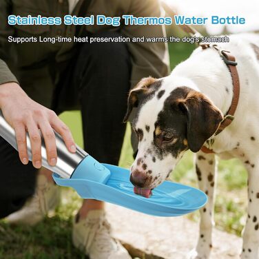 Водяна пляшка для собак на прогулянці - не протікає, з нержавіючої сталі, подвійні стінки, вакуумна ізоляція, 750 мл (Блакитна)