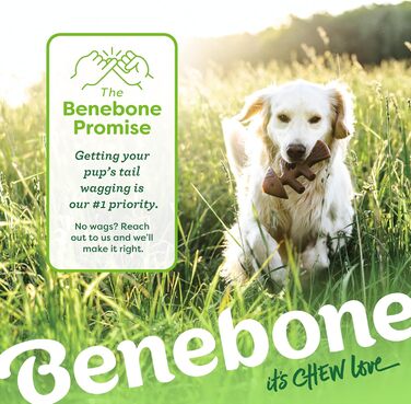 Benebone набір іграшок для собак, міцні кістки та палички для агресивних гризунів, смак риби, для малих порід