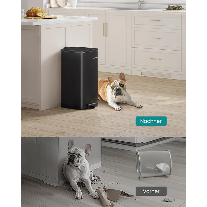 Сміттєве відро SONGMICS для кухні з механізмом закривання Softclose, 30 л, чорний (LTB592E01)