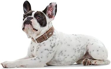 Нашийник для собак HUNTER PORTO, шкіряний, чорний/cognac, 30 см, ручної роботи