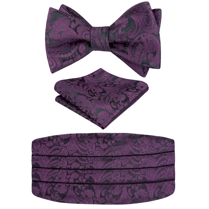 Комплект краватка-хустинка Alizeal Paisley (Aubergine) для чоловіків