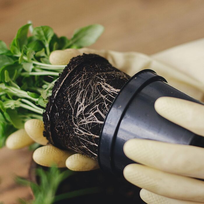 Prime Garden® Круглі пластикові горщики для розсади та квітів, чорні, 31 см, 12 л, набір 10 шт, для дому і вулиці