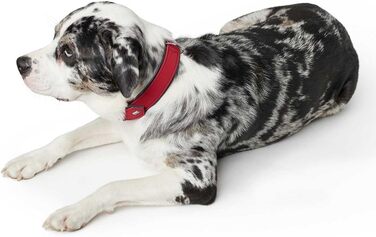 Нашийник для собак HUNTER SOFTIE, штучна шкіра, червоний, розмір L