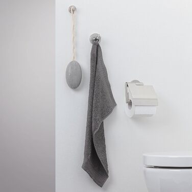 Tiger Boston Stainless Steel Toilet Paper Holder with Cover - Wall Mounted, Brushed Finish Single Roll