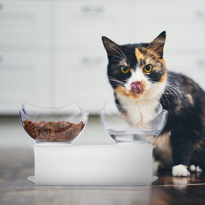 Relaxdays Elevated Cat Double Bowl 500ml