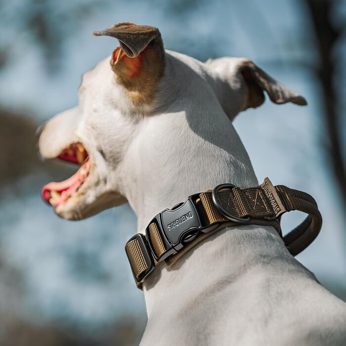 Нашийник для собак OneTigris з металевою застібкою Ranger Green (S)