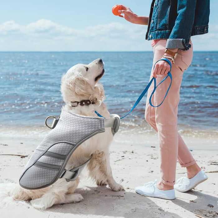 LiebeDD Cooling Vest for Dogs Summer Cooling Jacket for Dogs, Adjustable Breathable Mesh Dog Vest with Harness D-Ring Warning Vest Dog Coat for Small Medium Large Dogs, L (Chest 63-80cm)
