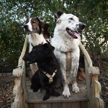 Нагрудник для собак Anny-X Schneeball XL (78-96 см)