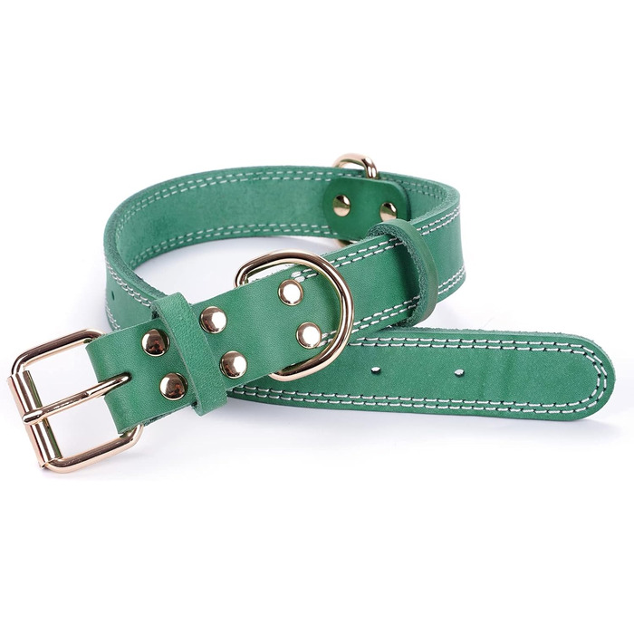 Нашийник для собак з натуральної шкіри, зелений, ширина 2.5 см, обхват шиї 40-51 см