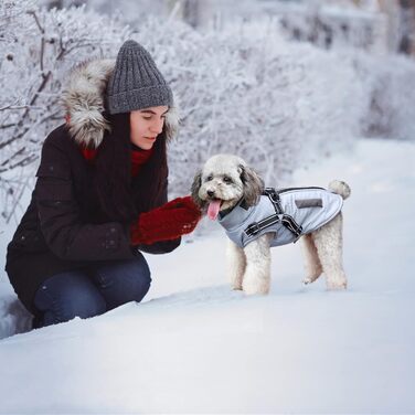 Osleidy Dog Winter Coats, Ware Dog Antel Reflective Dog Clothing Waterproof Puppy Vest for Cold Weather it Dog Harness for Small Medium Dogs (White, ) (XXL, Blue)