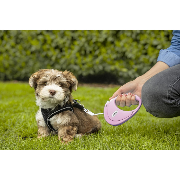 Льовішка Flexi Neon S, 5 м, чорний/неоновий-помаранчевий, світловідбиваюча поверхня, рулетка для собак до 15 кг (Рожевий, M)