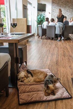 TrendPet Ресторанна дечка для собак та котів - подорожна дечка (L 100x70 см)