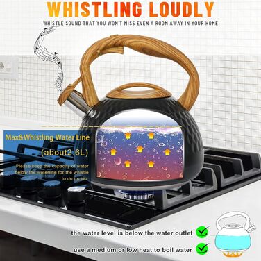 Чайник-свисток Teekessel з нержавіючої сталі, для всіх типів плит