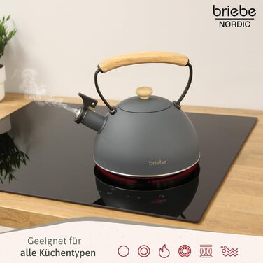 Чайник електричний Nordic Wasserkessel Induktion 2.3L з нержавіючої сталі, для чаю та кави, з нержавіючої сталі, сірий, сумісний з усіма типами плит