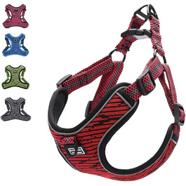 колір: гниль