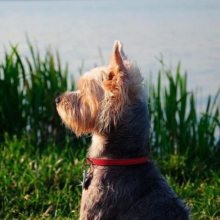 Газонокосарка Heiniger MIDI Style