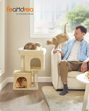 Feandrea Cat Tree Small, 67 cm Cat Tree, Kitten House for Kittens up to 3 kg, Large Platform, Sisal Posts, PCT611W01 (Beige)