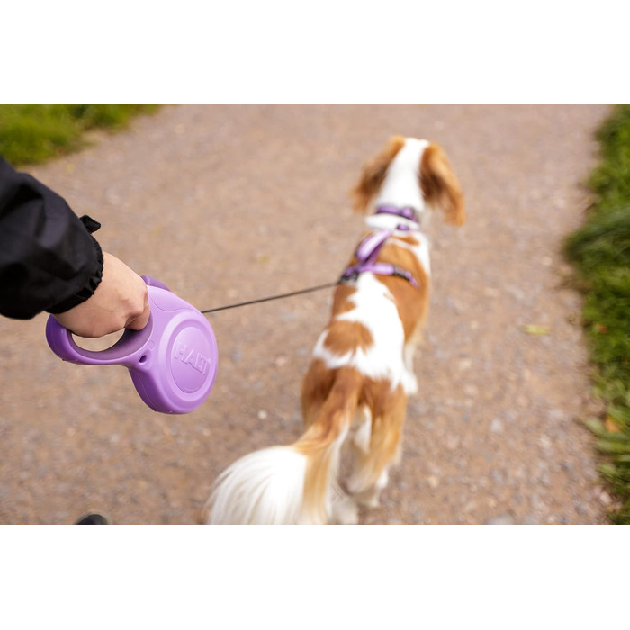 Шлейка для собак HATI Roeine з світловідбиваючим матеріалом, ергономічним дизайном та запатентованою застібкою. Підходить для великих собак (розмір ), фіолетовий, M