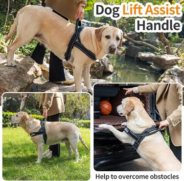 Шлейка для собак без тяги, не виривається, відбиваюча, регульована (Чорний, M) для малих та середніх собак, обхват грудей 53–70 см