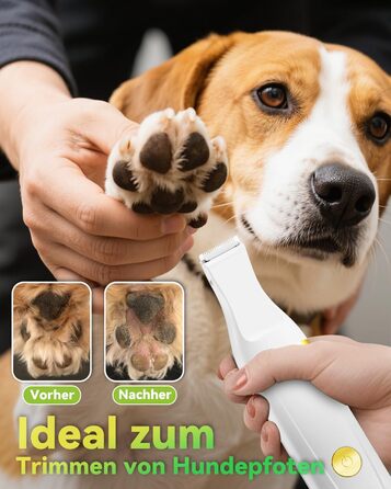 Машинка для стрижки собак і котів Leise, акумуляторна, 7000 об/хв, 4 насадки для догляду за лапами, очима, вухами, обличчям та тілом