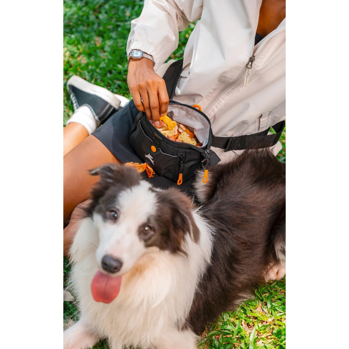 ОлліДог Backcountry Tagestasche - сумка для ласощів та відходів для собак, з кліпсою на пояс, Raven S'25