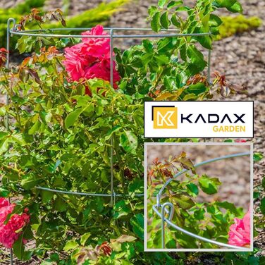 Набір KADAX з 3 опор для рослин зі сталі з порошковим покриттям, підпірки для квітів і рослин, опора для витких рослин, для саду та балкона, висота 60,5 см